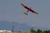 IMG 8803