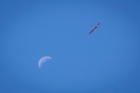 IMG 9598