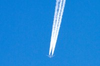 IMG 3570
