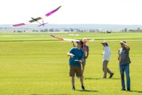 IMG 4242