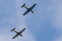 IMG 4295