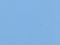 DSCN1399